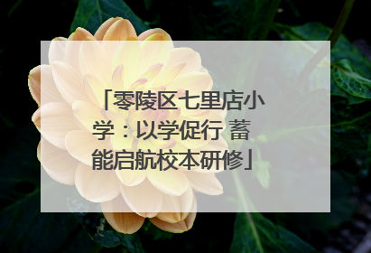 零陵区七里店小学：以学促行 蓄能启航校本研修