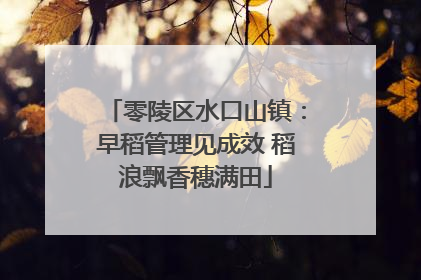 零陵区水口山镇：早稻管理见成效 稻浪飘香穗满田