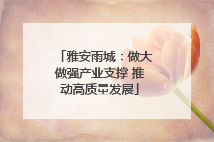 雅安雨城：做大做强产业支撑 推动高质量发展
