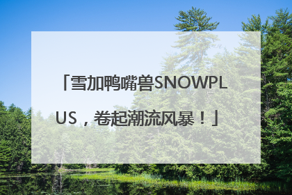 雪加鸭嘴兽SNOWPLUS，卷起潮流风暴！