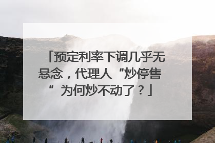预定利率下调几乎无悬念，代理人“炒停售”为何炒不动了？