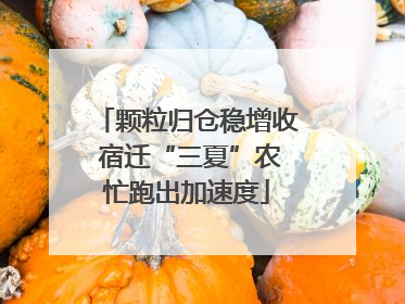 颗粒归仓稳增收 宿迁“三夏”农忙跑出加速度