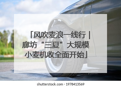 风吹麦浪一线行｜廊坊“三夏”大规模小麦机收全面开始