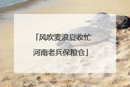 风吹麦浪夏收忙 河南老兵保粮仓