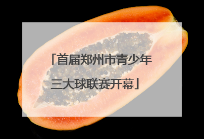 首届郑州市青少年三大球联赛开幕