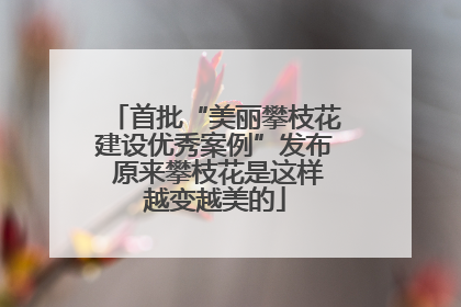 首批“美丽攀枝花建设优秀案例”发布 原来攀枝花是这样越变越美的