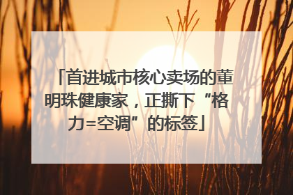 首进城市核心卖场的董明珠健康家，正撕下“格力=空调”的标签