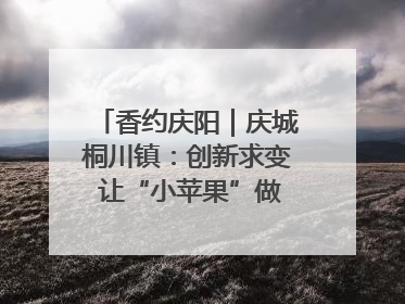 香约庆阳｜庆城桐川镇：创新求变 让“小苹果”做成“大产业”