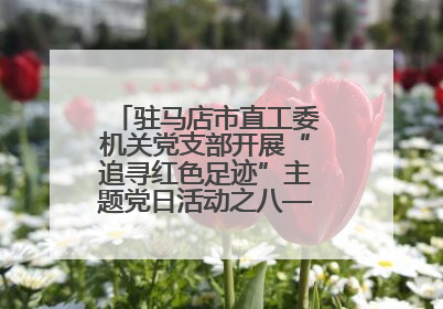 驻马店市直工委机关党支部开展“追寻红色足迹”主题党日活动之八——鏖战独树镇