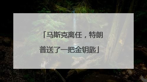 马斯克离任，特朗普送了一把金钥匙