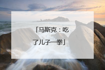 马斯克：吃了儿子一拳