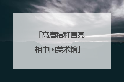 高唐秸秆画亮相中国美术馆