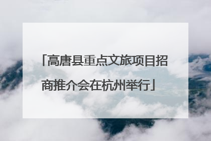 高唐县重点文旅项目招商推介会在杭州举行
