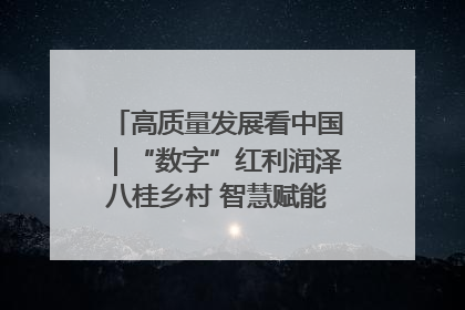高质量发展看中国｜“数字”红利润泽八桂乡村 智慧赋能绘就振兴画卷