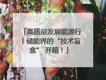 高质量发展能源行丨储能界的“技术盲盒” 开箱！