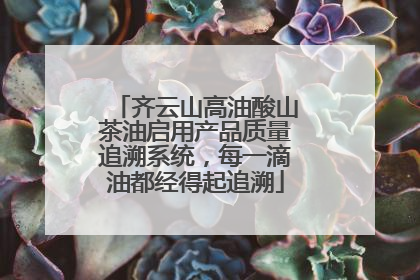 齐云山高油酸山茶油启用产品质量追溯系统，每一滴油都经得起追溯