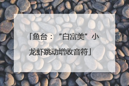 鱼台：“白富美”小龙虾跳动增收音符