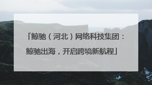 鲸驰（河北）网络科技集团：鲸驰出海，开启跨境新航程