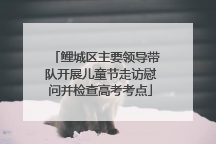 鲤城区主要领导带队开展儿童节走访慰问并检查高考考点