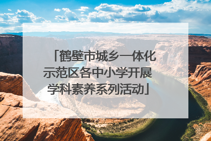 鹤壁市城乡一体化示范区各中小学开展学科素养系列活动