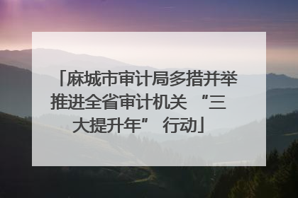 麻城市审计局多措并举推进全省审计机关 “三大提升年” 行动