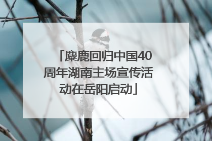 麋鹿回归中国40周年湖南主场宣传活动在岳阳启动