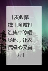 麦收第一线丨聊城打造集中晾晒场地，让农民省心又省力