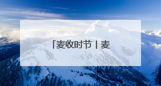 麦收时节丨麦田里的观天人