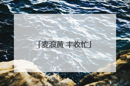 麦浪黄 丰收忙
