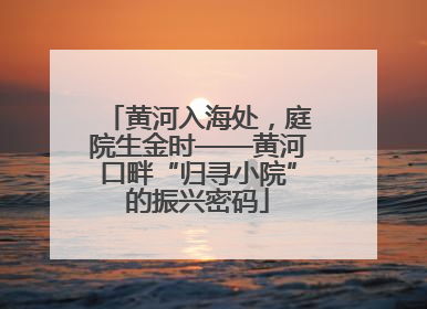 黄河入海处，庭院生金时——黄河口畔“归寻小院”的振兴密码