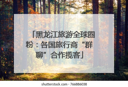 黑龙江旅游全球圈粉：各国旅行商“群聊”合作揽客