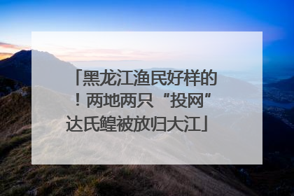 黑龙江渔民好样的！两地两只“投网”达氏鳇被放归大江