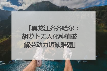 黑龙江齐齐哈尔：胡萝卜无人化种植破解劳动力短缺难题
