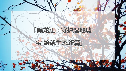 黑龙江：守护湿地瑰宝 绘就生态新篇