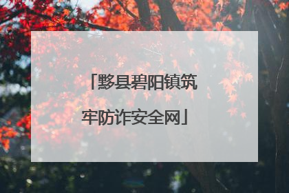 黟县碧阳镇筑牢防诈安全网