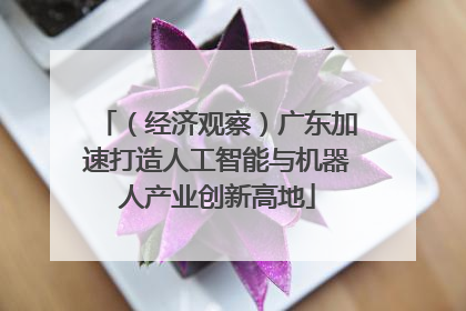 （经济观察）广东加速打造人工智能与机器人产业创新高地
