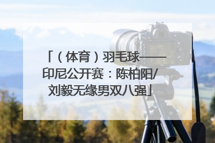 （体育）羽毛球——印尼公开赛：陈柏阳/刘毅无缘男双八强