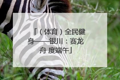 （体育）全民健身——银川：赛龙舟 度端午
