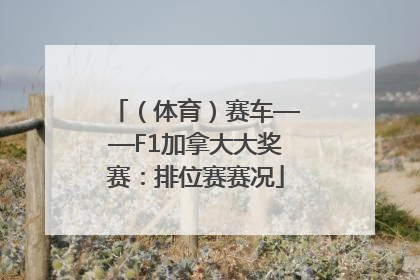 （体育）赛车——F1加拿大大奖赛：排位赛赛况