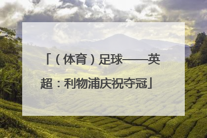 （体育）足球——英超：利物浦庆祝夺冠