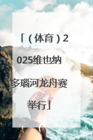 （体育）2025维也纳多瑙河龙舟赛举行