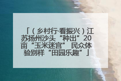 （乡村行·看振兴）江苏扬州沙头“种出”20亩“玉米迷宫” 民众体验别样“田园乐趣”