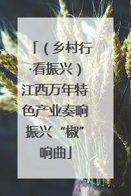 （乡村行·看振兴）江西万年特色产业奏响振兴“椒”响曲