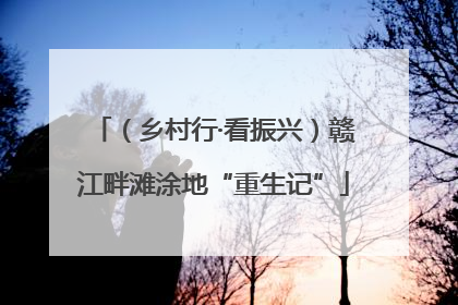（乡村行·看振兴）赣江畔滩涂地“重生记”