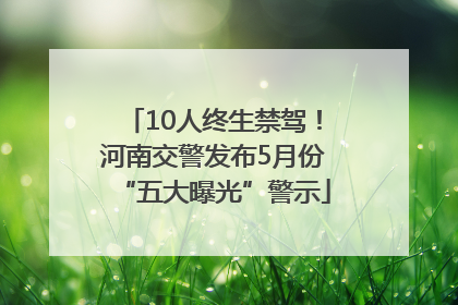 10人终生禁驾！河南交警发布5月份“五大曝光”警示