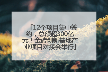 12个项目集中签约，总额超300亿元！金砖创新基地产业项目对接会举行