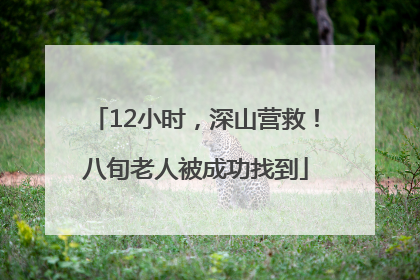 12小时，深山营救！八旬老人被成功找到