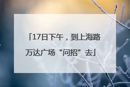 17日下午，到上海路万达广场“问招”去