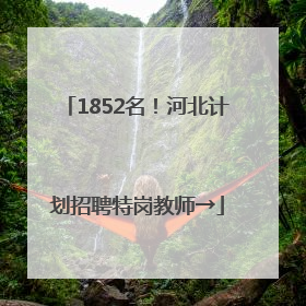 1852名！河北计划招聘特岗教师→
