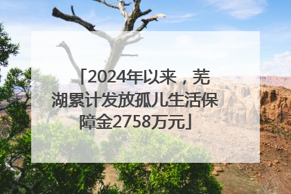 2024年以来，芜湖累计发放孤儿生活保障金2758万元